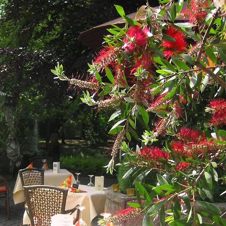 Landidyll Wilminks Parkhotel Neuenkirchen  Luaran gambar